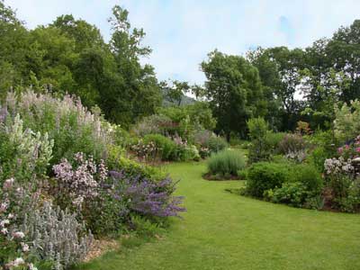 Ejemplo de borde mixto