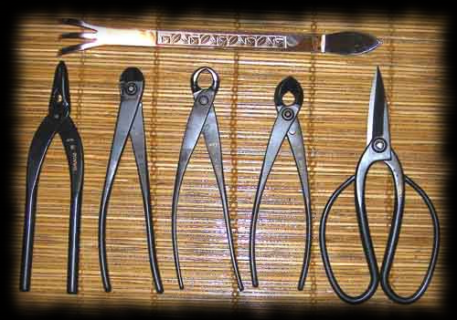 Herramientas para bonsai